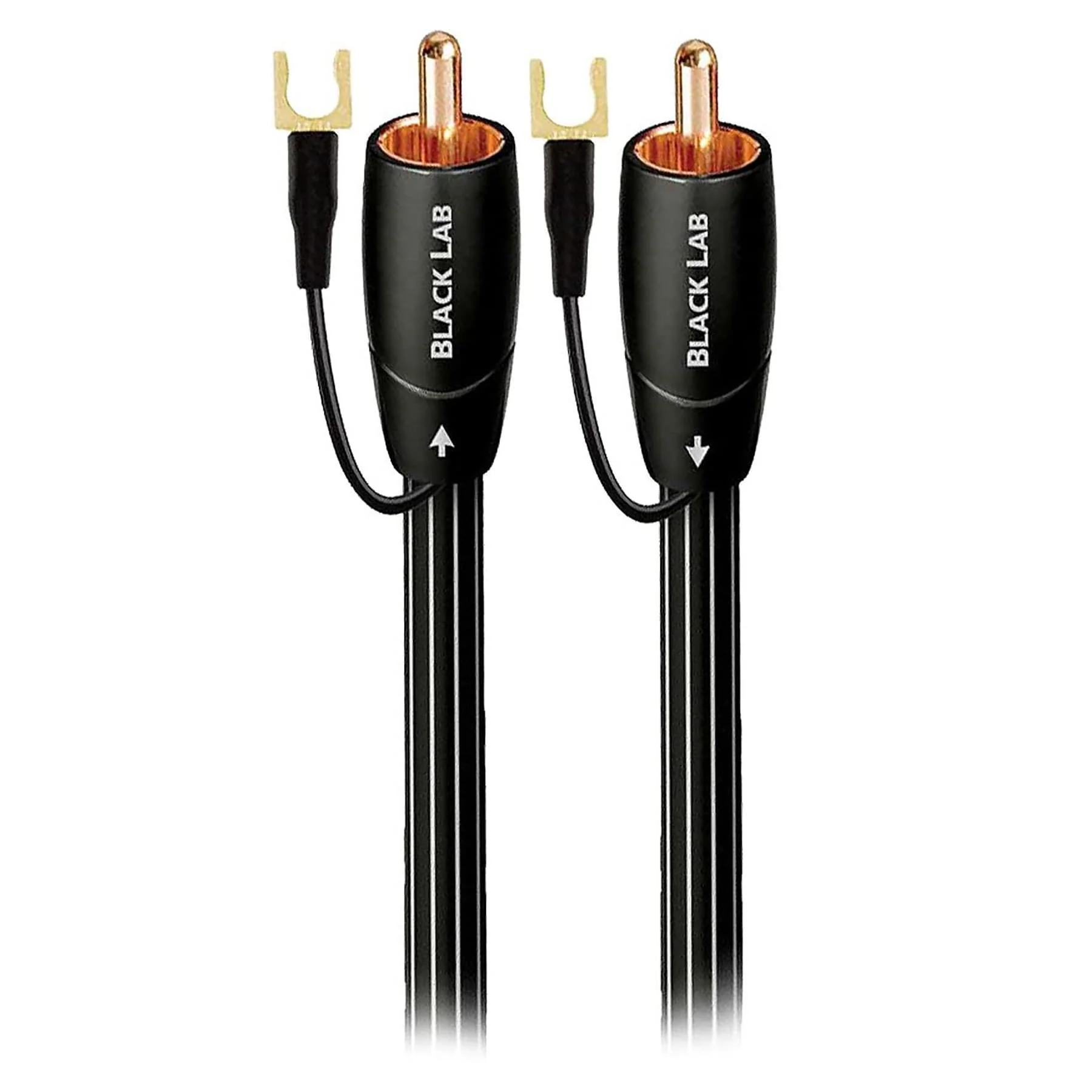 AudioQuest Black Lab RCA Male to RCA Male Subwoofer Cable - Image 4