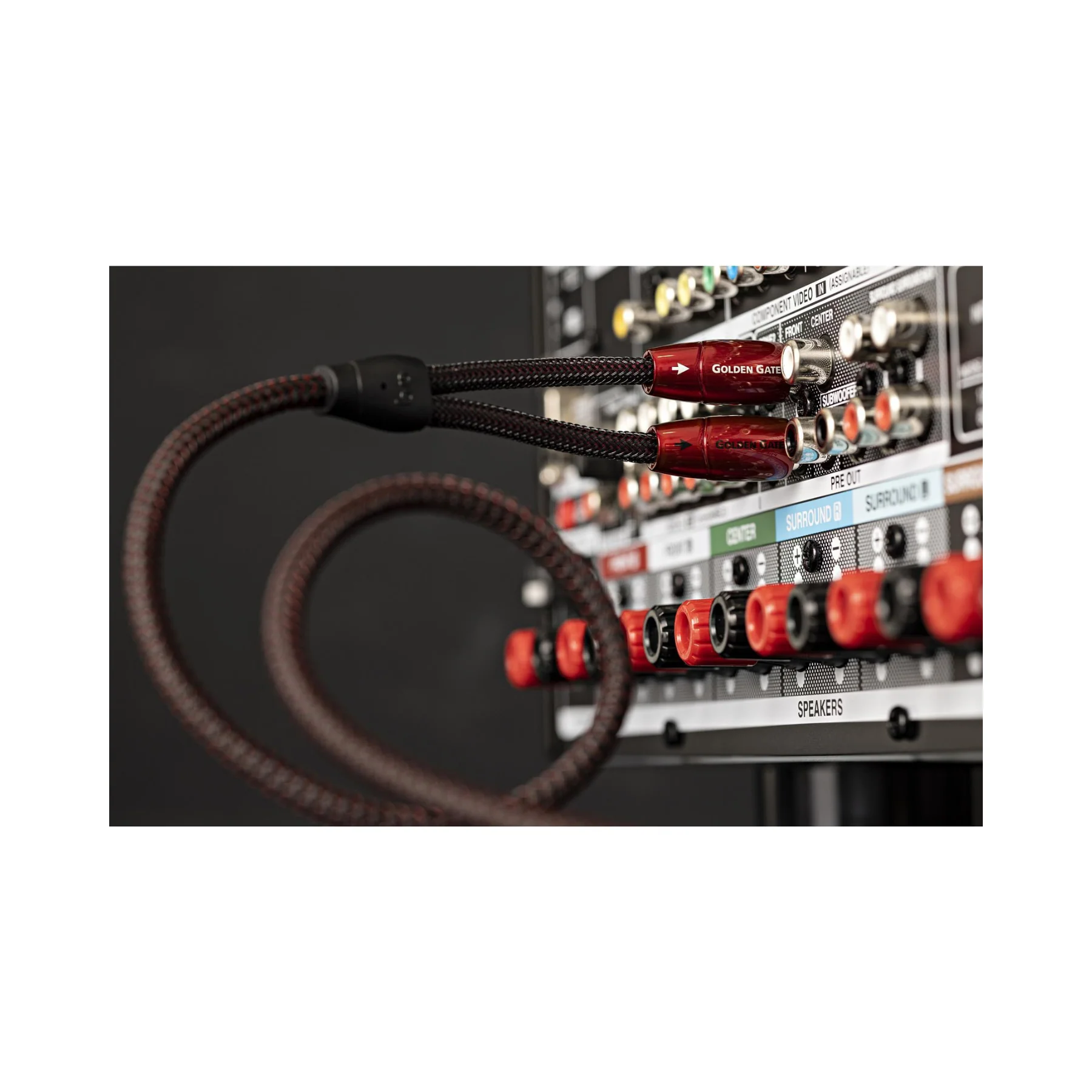 AudioQuest Golden Gate RCA to RCA Audio Interconnect Cable - Clearance / Open Box - Image 5