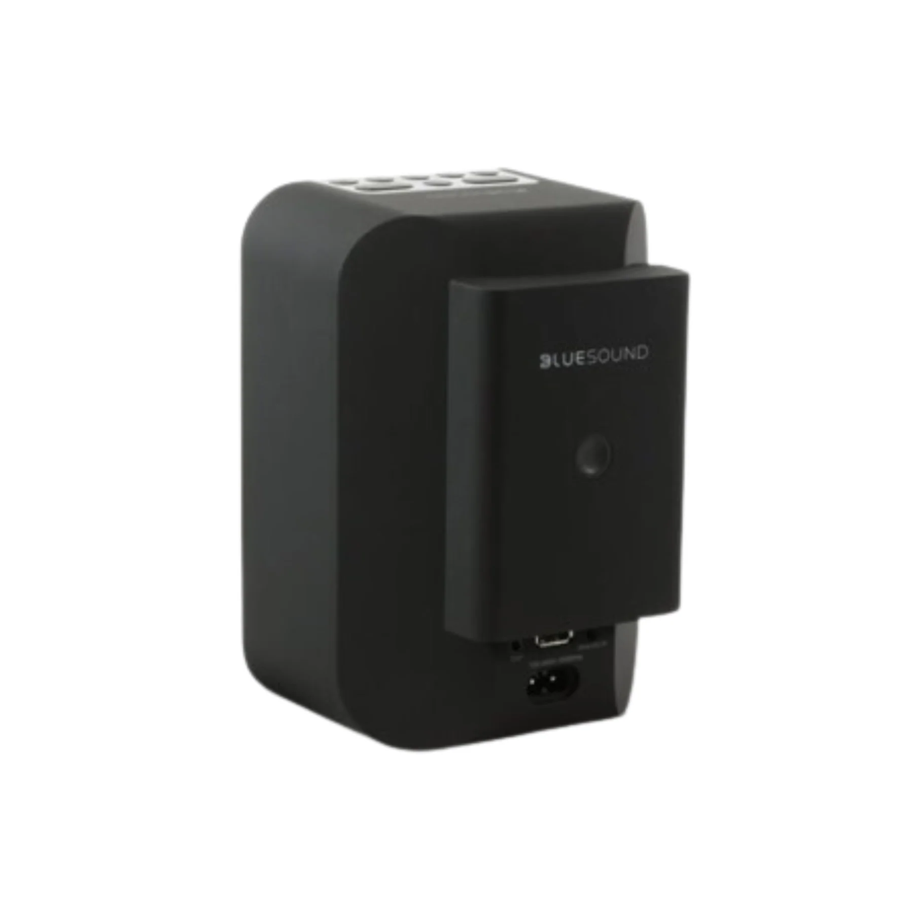 Bluesound BP100 PULSE FLEX Battery Pack - Image 4