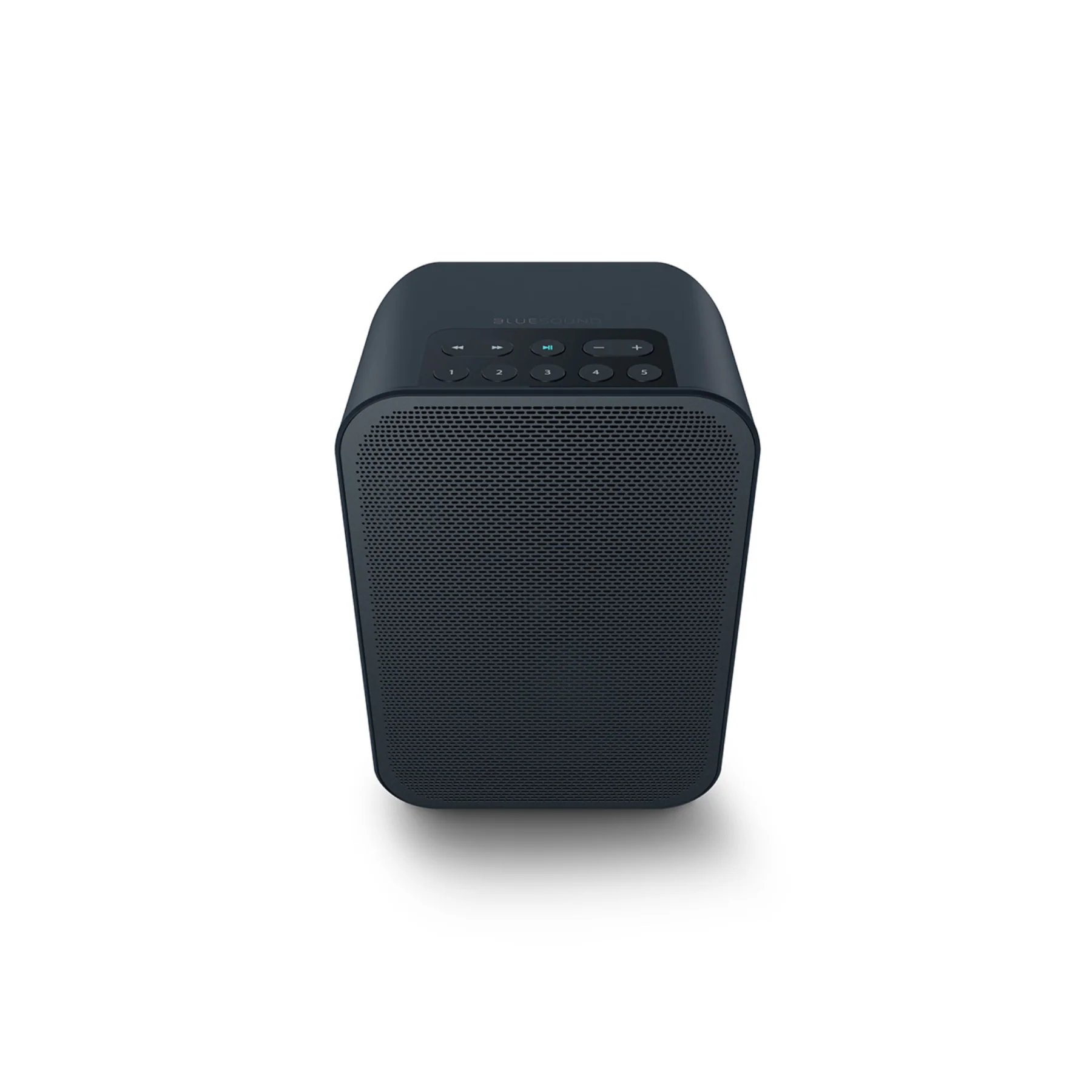 Bluesound PULSE FLEX 2i Portable Wireless Speaker - Image 3