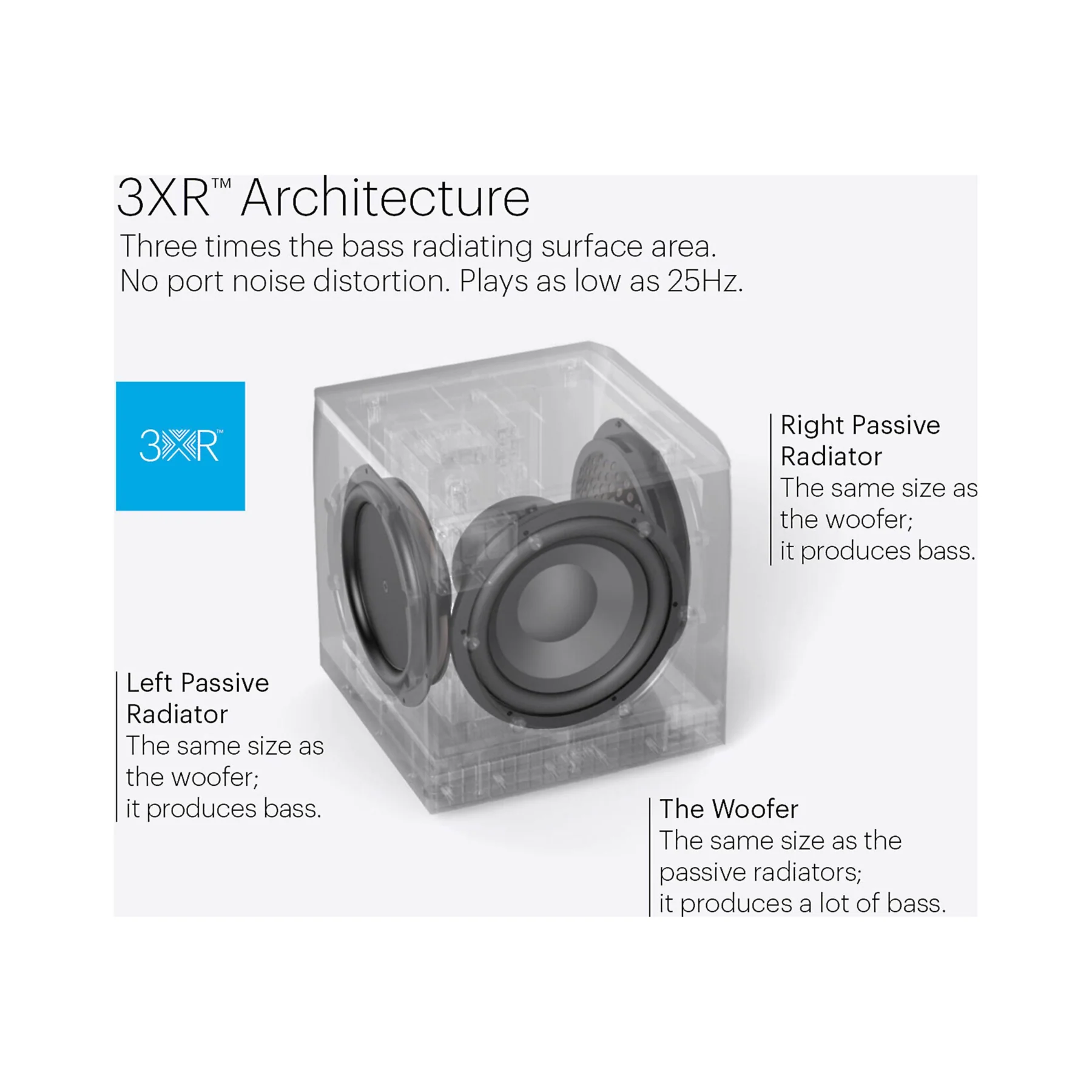 Definitive Technology Descend Series DN12 - 12" Subwoofer - Clearance / Open Box - Image 4