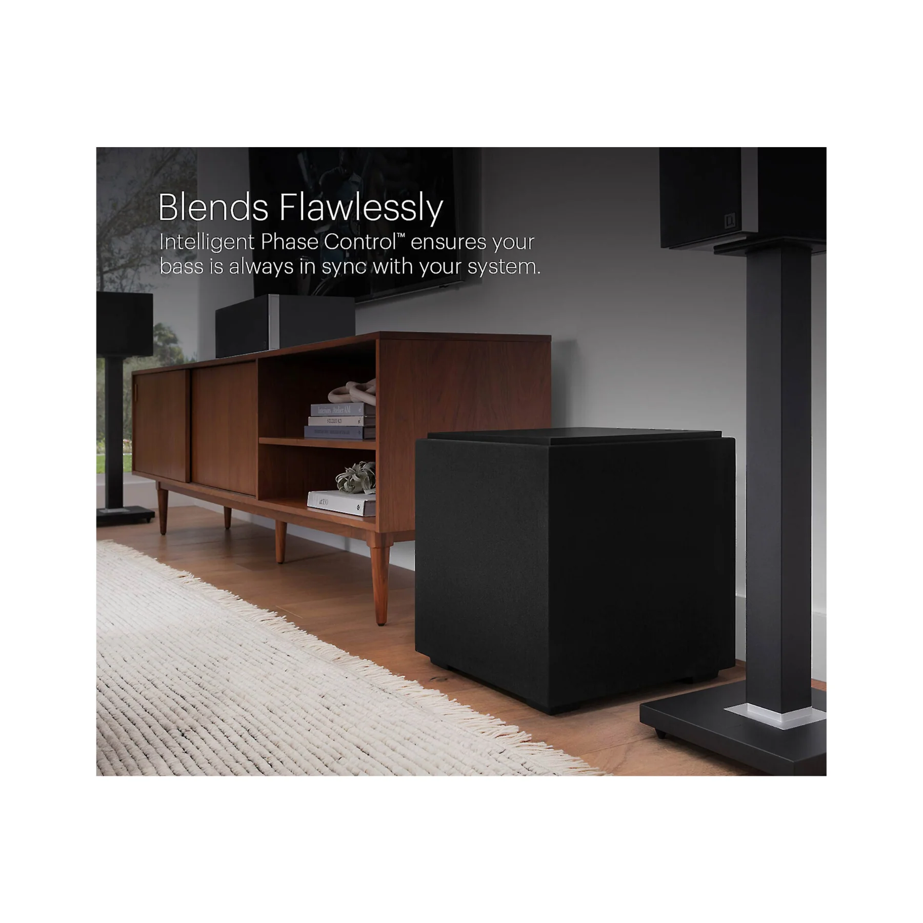 Definitive Technology Descend Series DN12 - 12" Subwoofer - Clearance / Open Box - Image 7