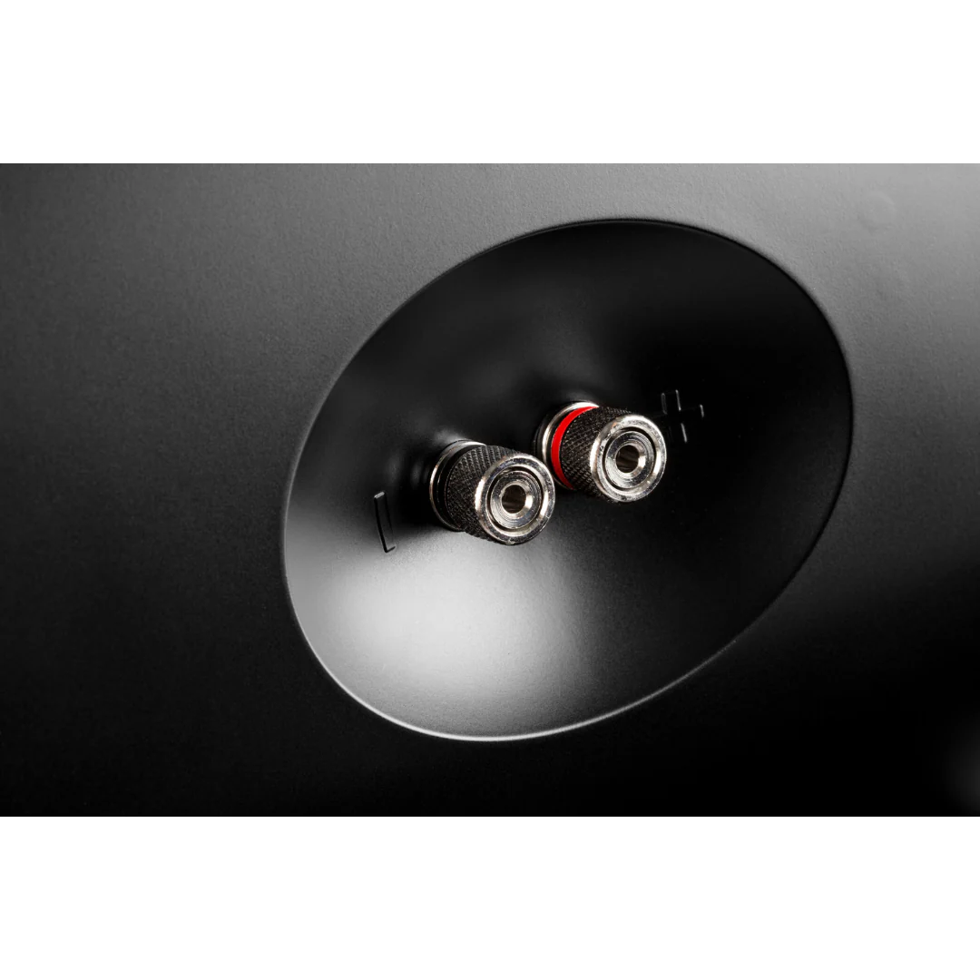 Definitive Technology Dymension  AW-450 Outdoor Speaker Pair - Image 3