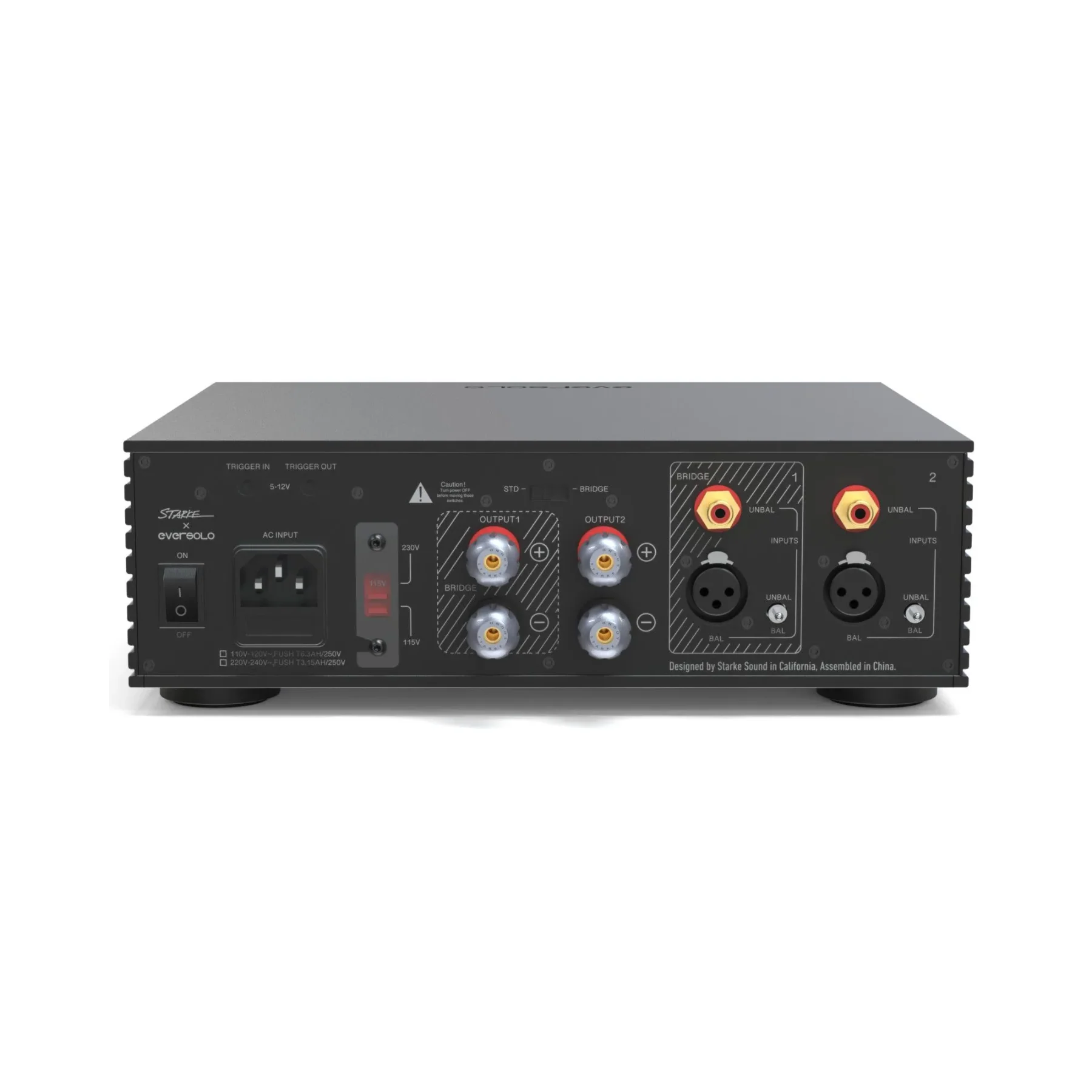 Eversolo AMP-F2 2ch Class D Power Amplifier - Image 2