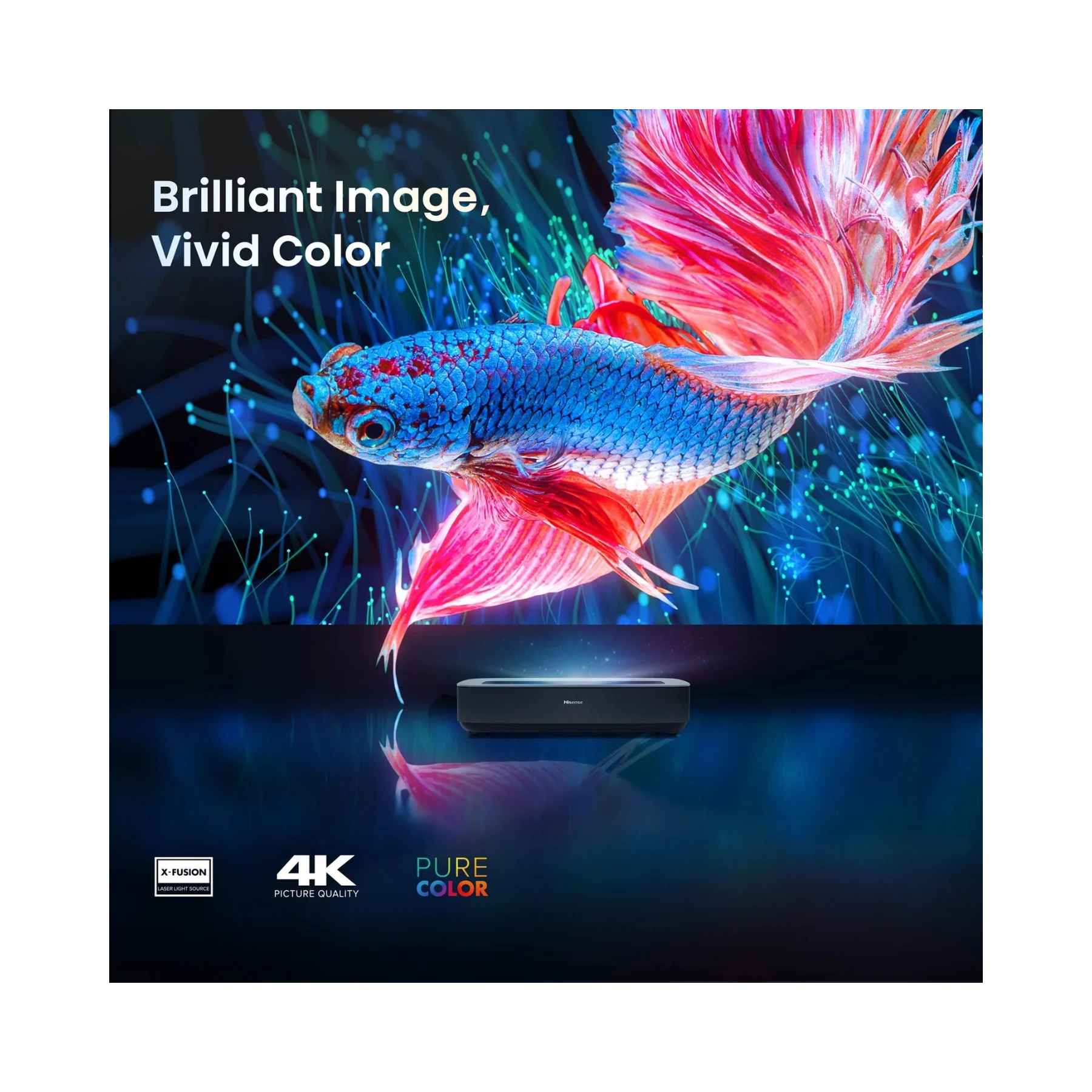 Hisense PL1 4K Ultra Short Throw Laser Cinema Projector - Clearance / Open Box - Image 3