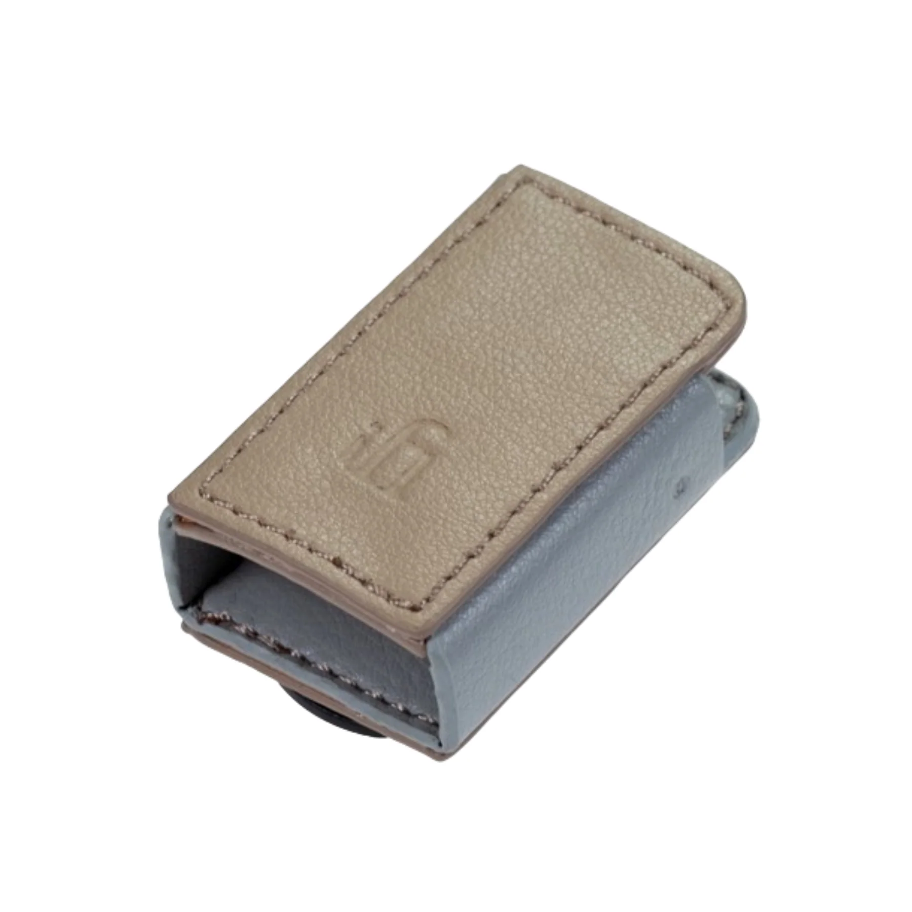 iFi Audio Go Blu Case