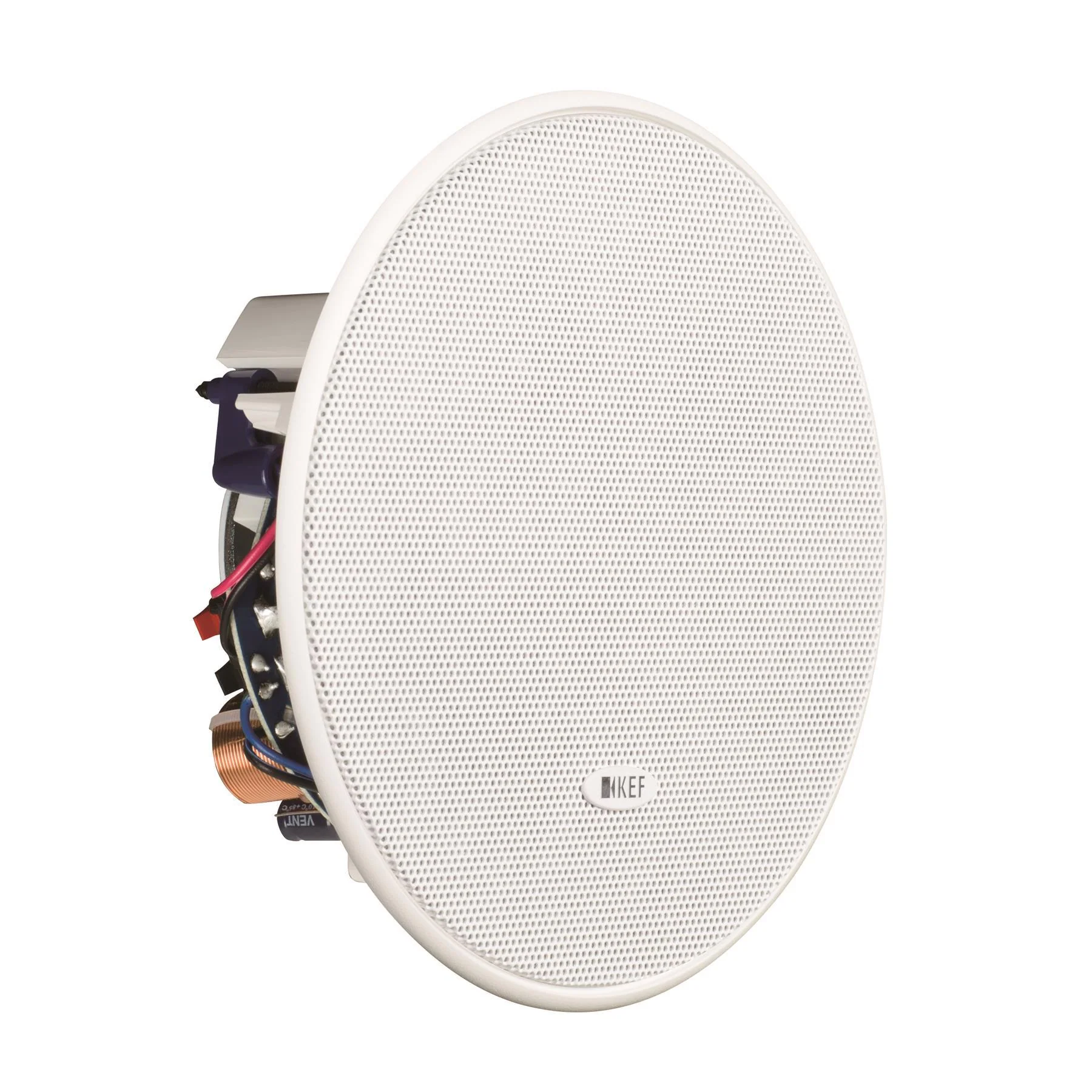KEF Ci130ER Ci-E Series In-Ceiling Speakers - Pair - Image 4