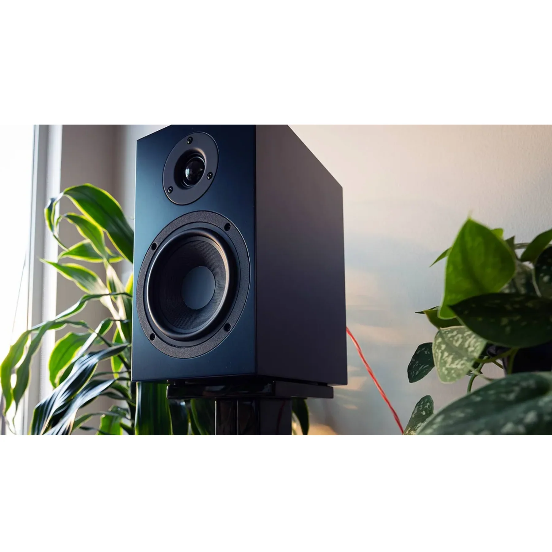 Pro-Ject SpeakerBox-5 S2 - Image 9