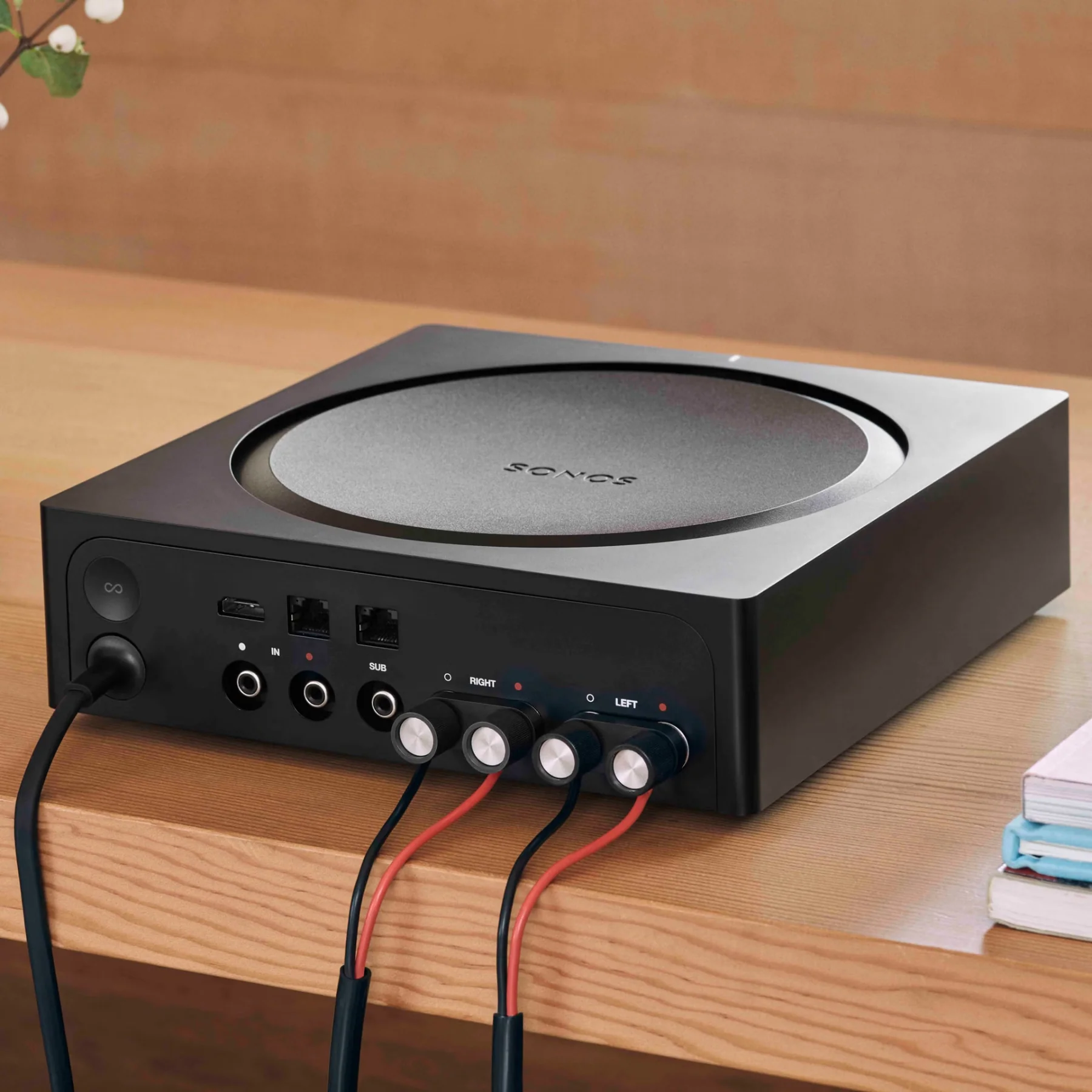 Sonos Outdoor Set with Amp - Image 7