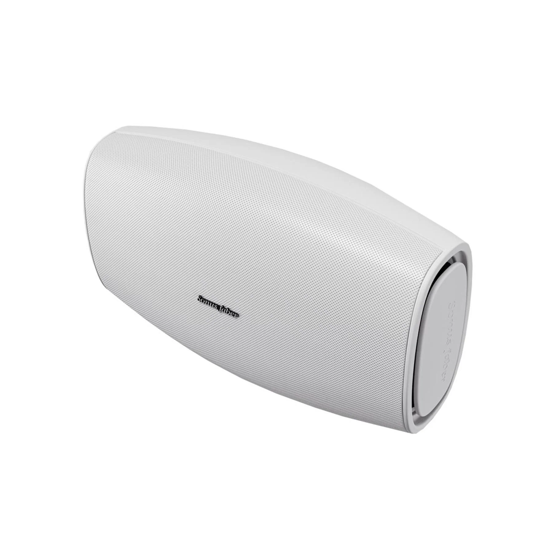 Sonus faber High Fidelity Aster Outdoor Speaker - Each