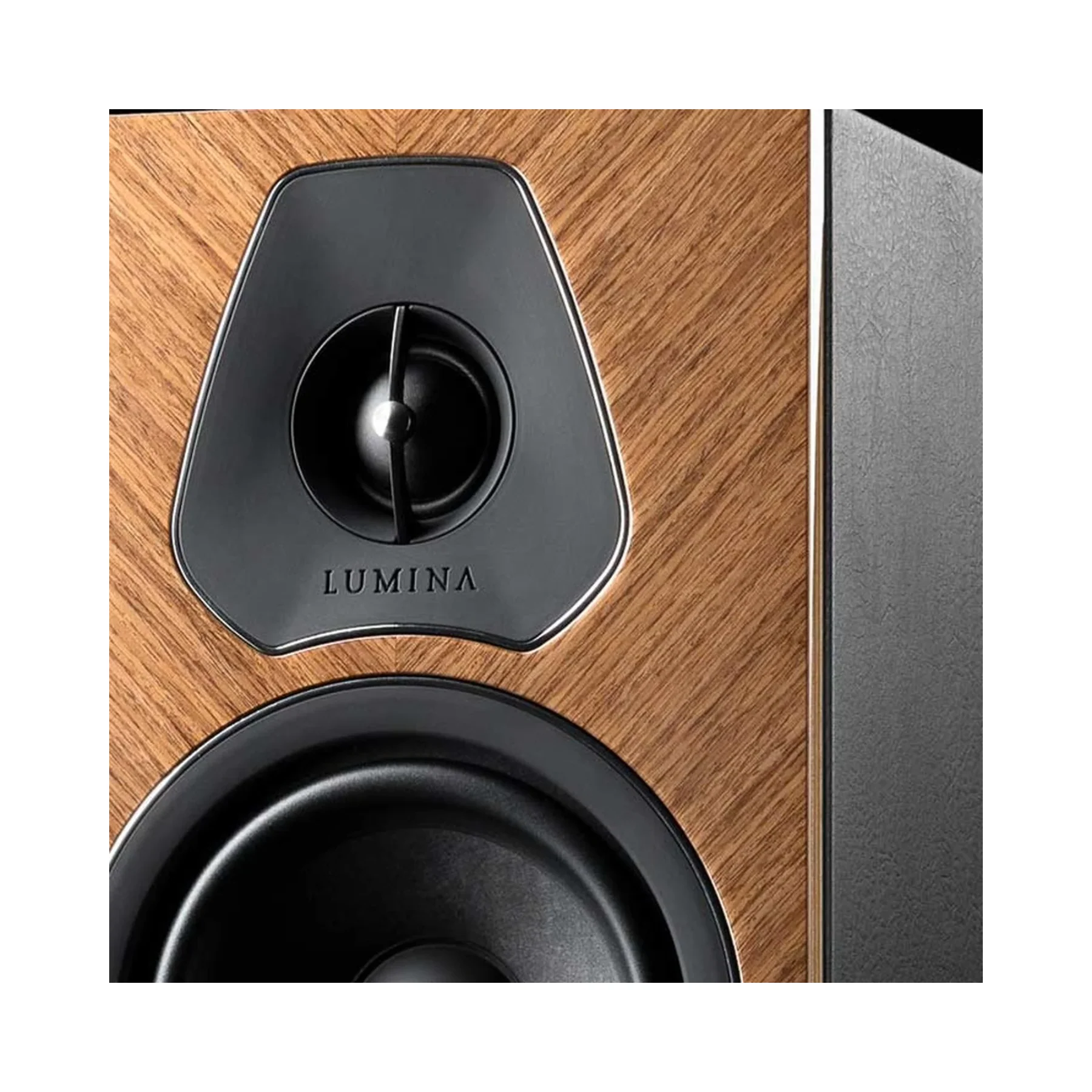 Sonus faber Lumina II Amator - Premium Italian Bookshelf Speakers - Clearance / Open Box - Image 4