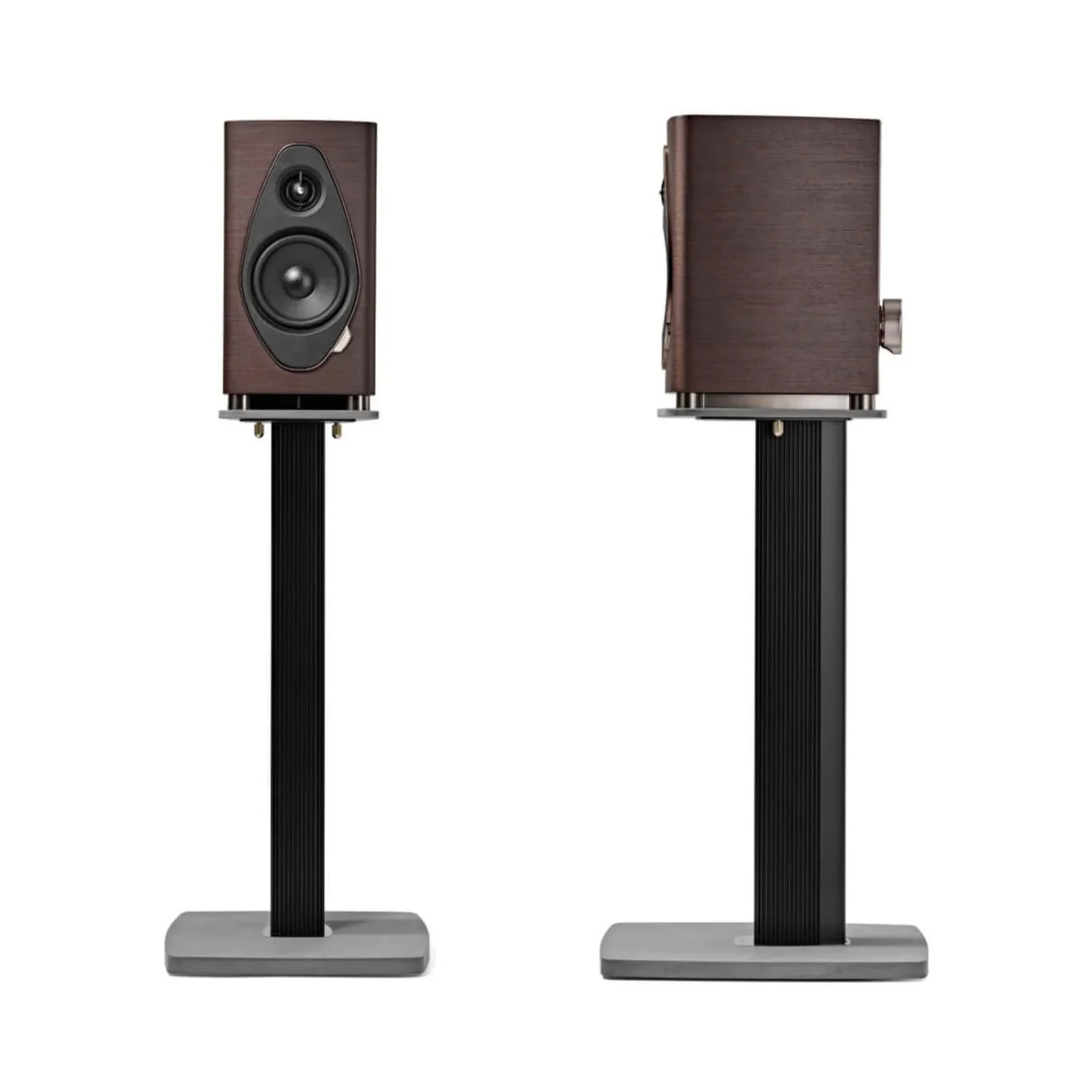 Sonus faber Sonetto I G2 Bookshelf Speakers - Clearance / Open Box - Image 2