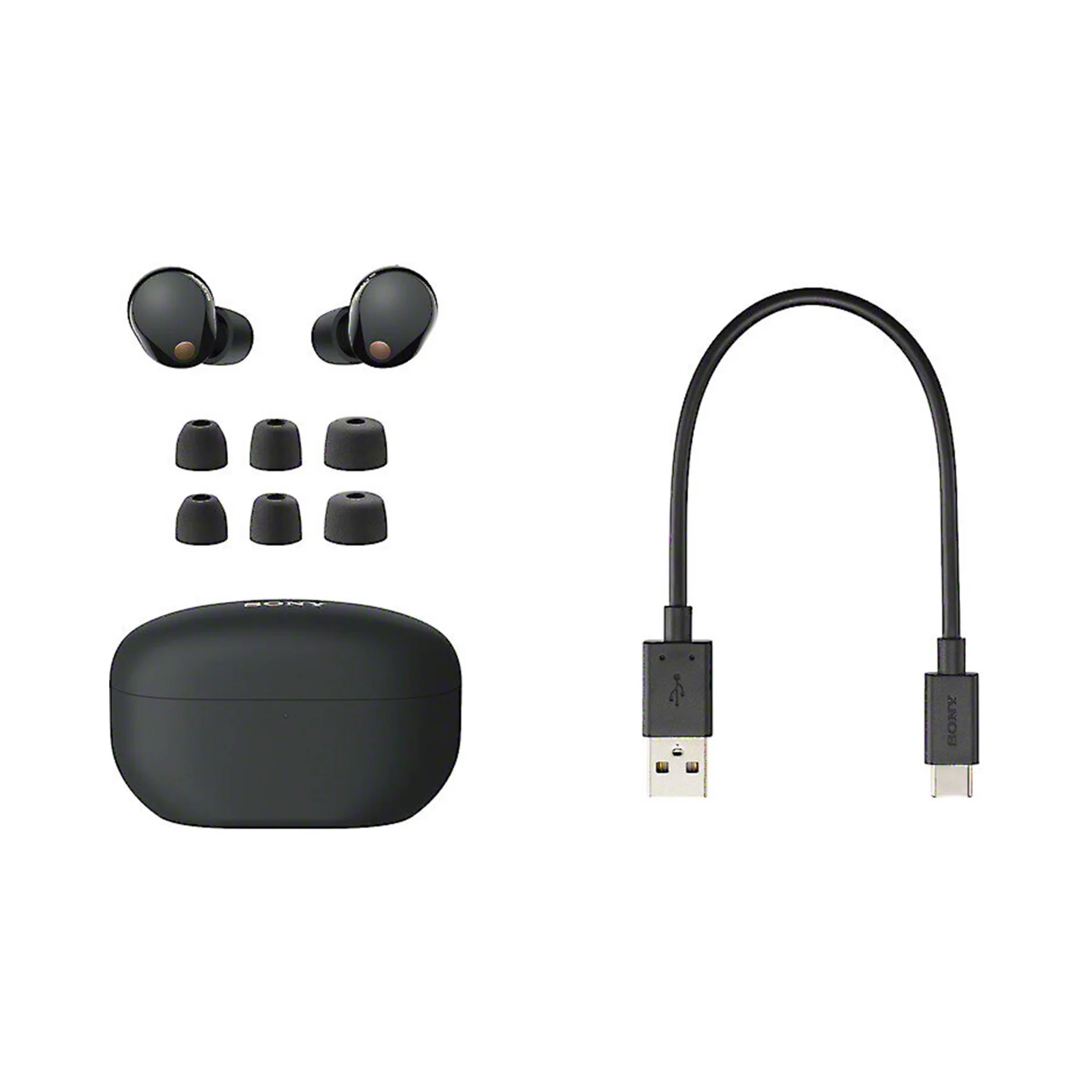 Sony WF-1000XM5 Truly Wireless Noise Canceling Earbuds - Clearance / Open Box - Image 3