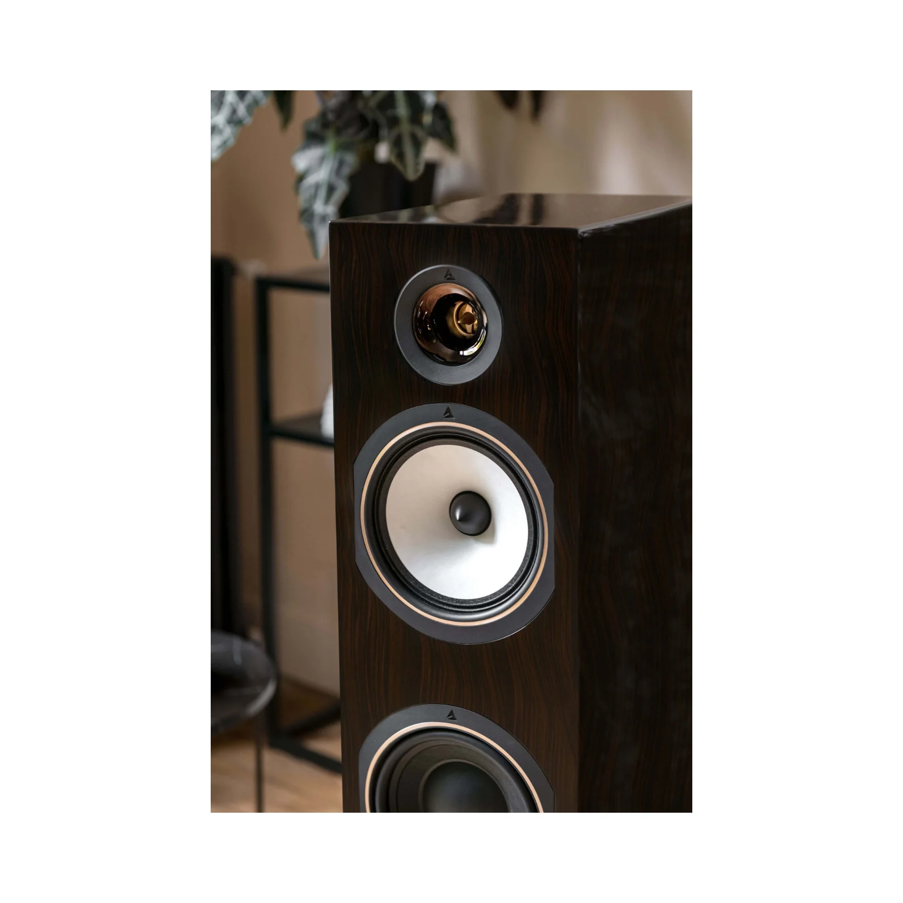 Triangle 40th Anniversary Antal Floorstanding Speaker Each - Image 5