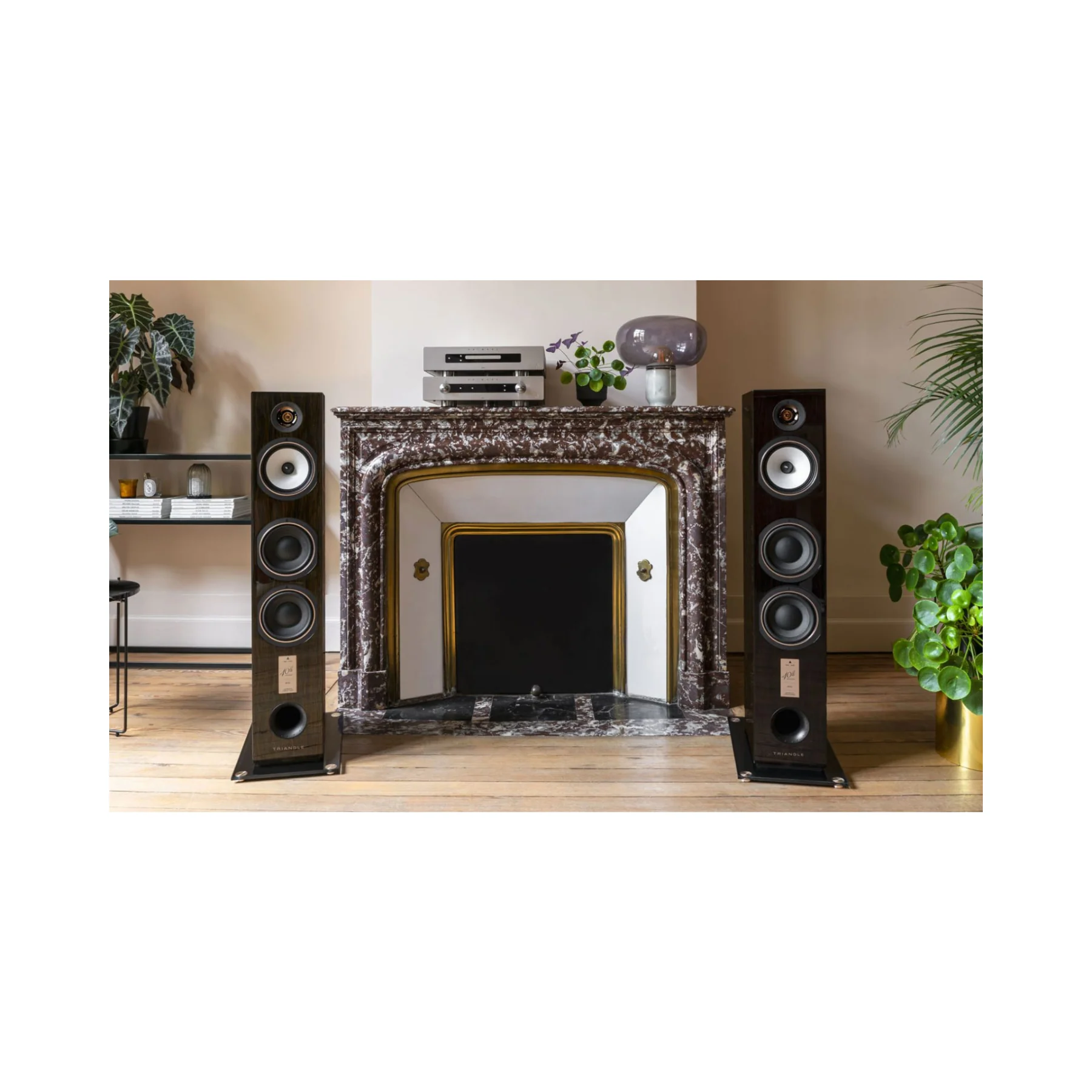 Triangle 40th Anniversary Antal Floorstanding Speaker Each - Image 9