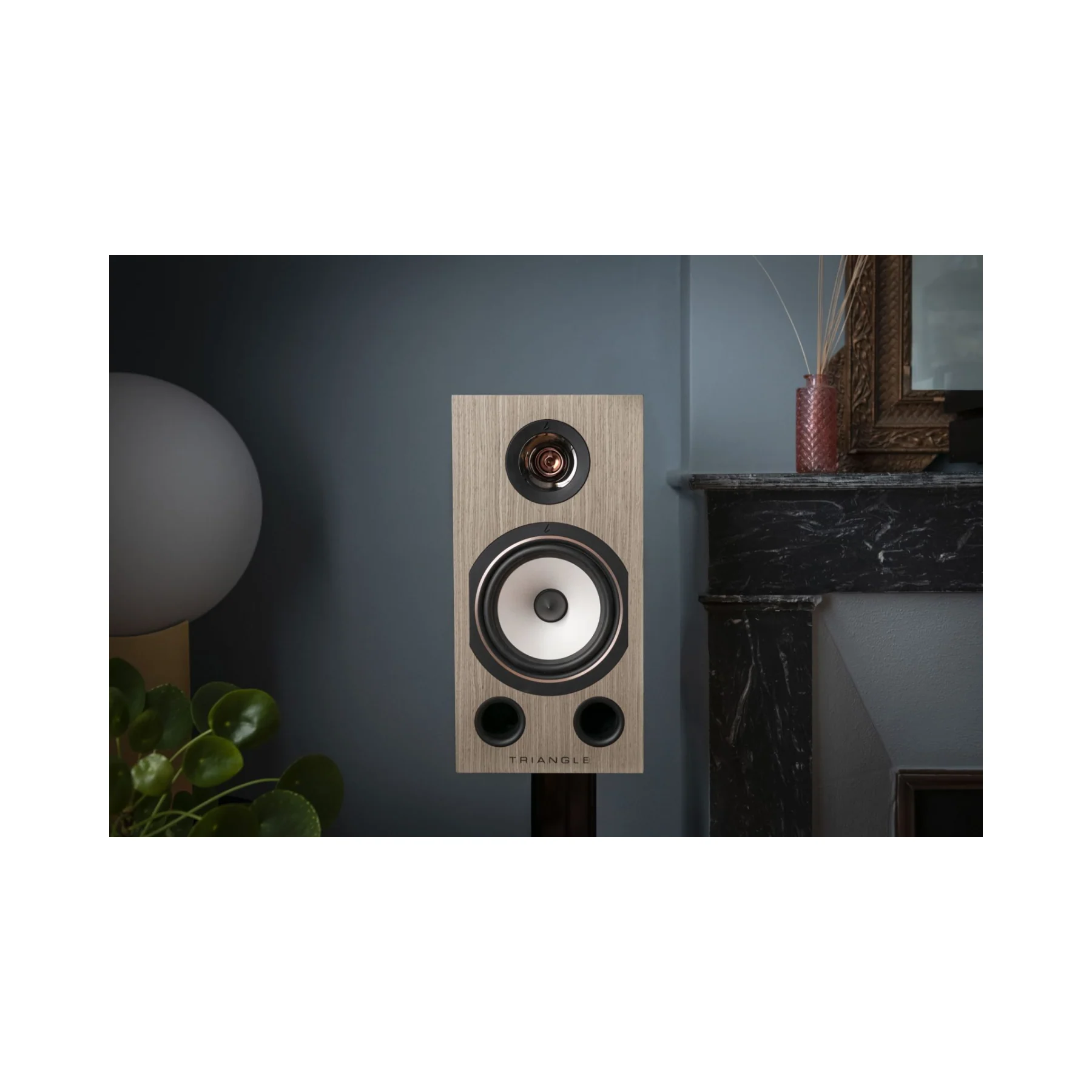 Triangle Comete 40th Anniversary Bookshelf Speakers Pair - Image 5
