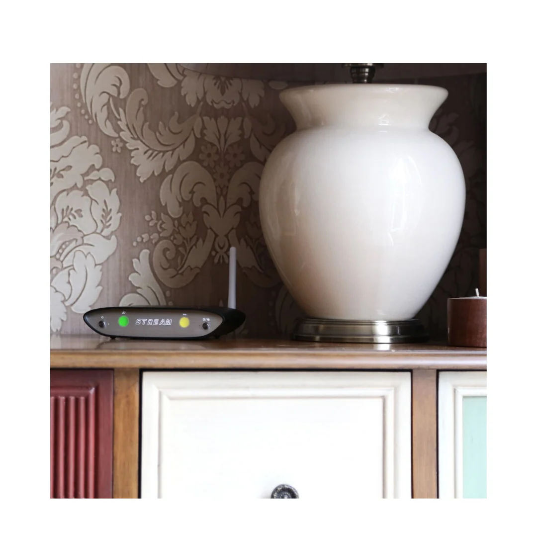iFi Audio Zen Stream – Network Audio Transport - Clearance / Open Box - Image 4